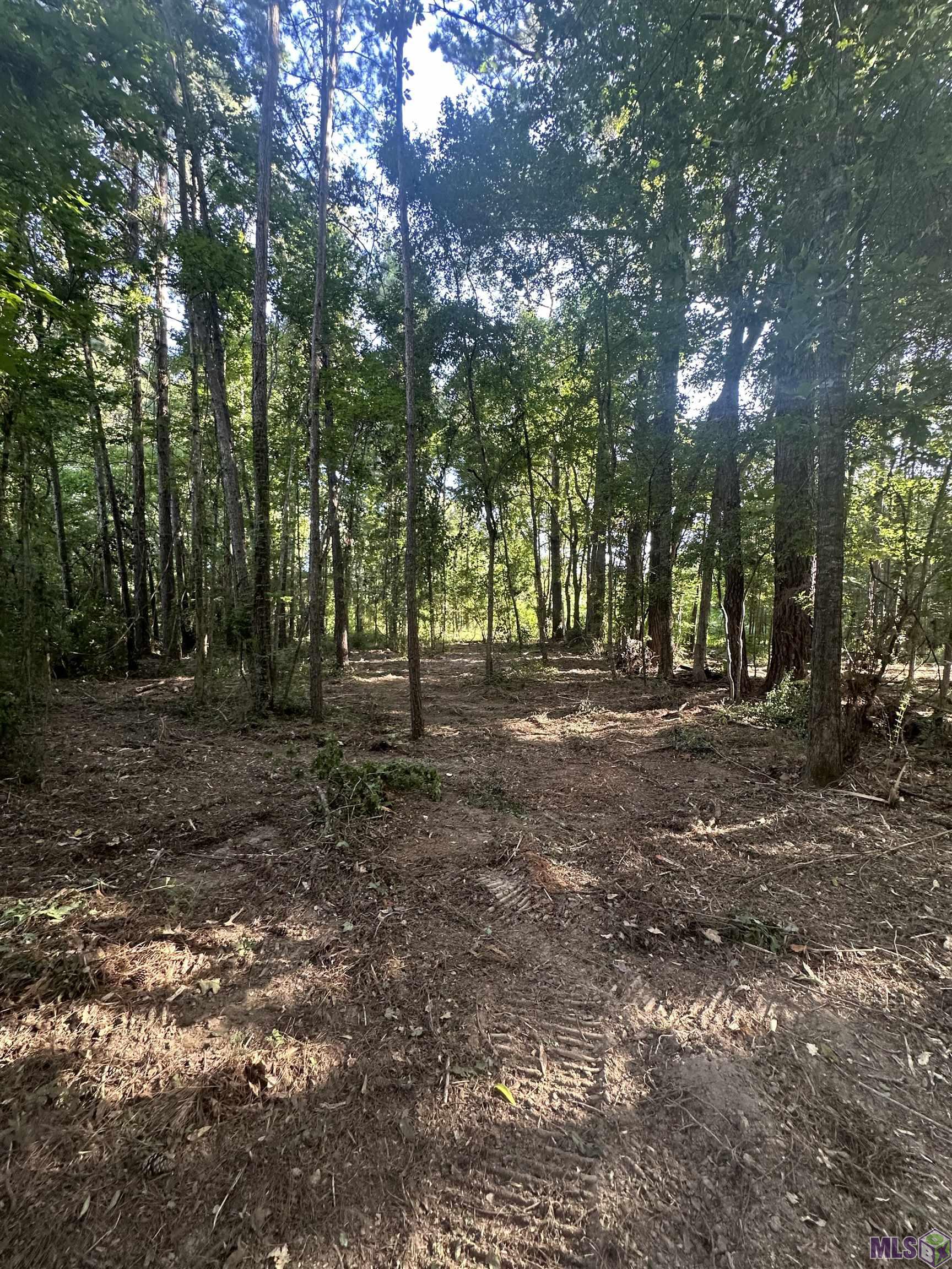 Lot A-2 Lot A-2 Scott Barr Road Slaughter, LA 70777 - Photo 22 of 25 Gallery Image 22