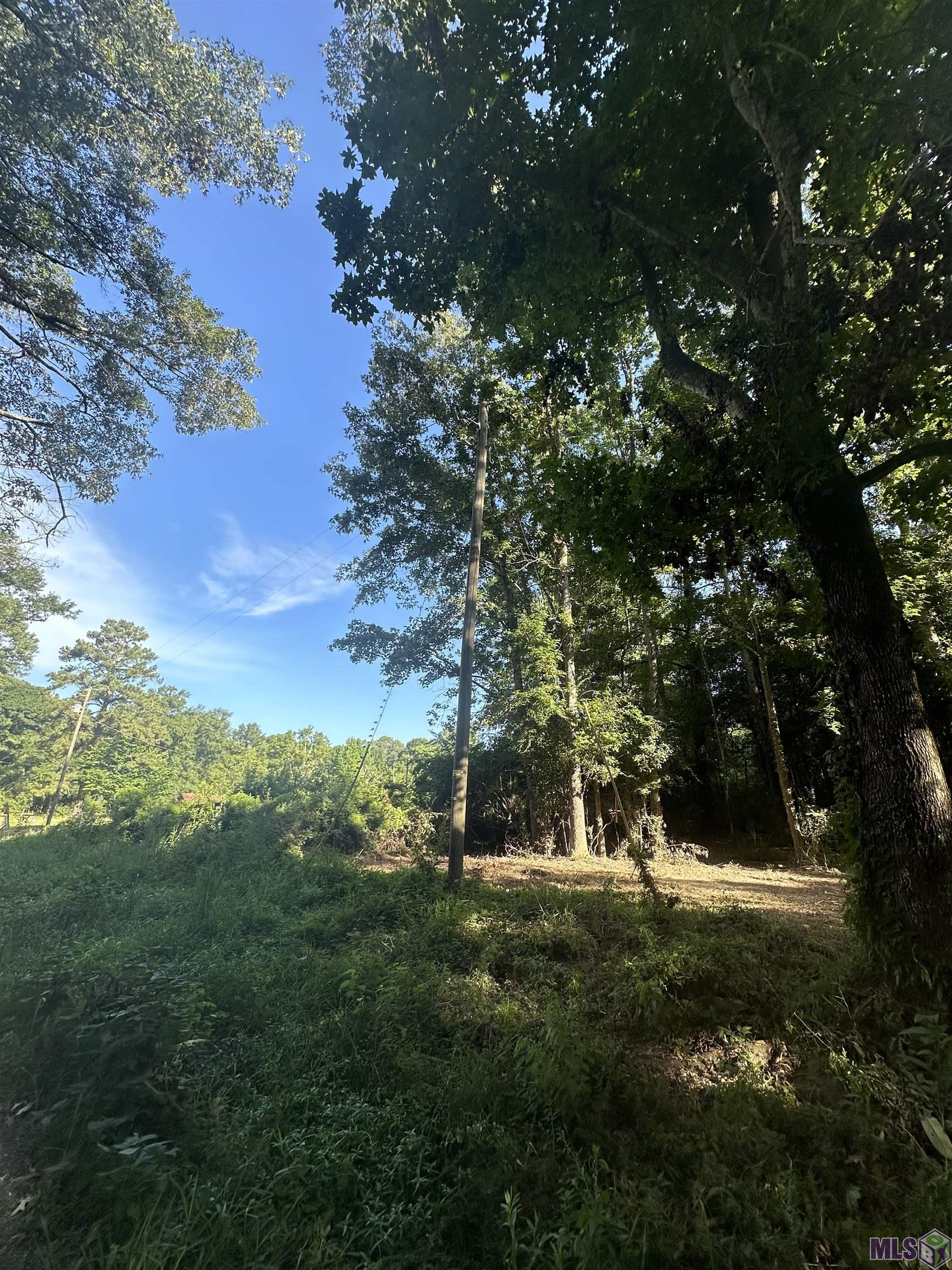 Lot A-2 Lot A-2 Scott Barr Road Slaughter, LA 70777 - Photo 23 of 25 Gallery Image 23