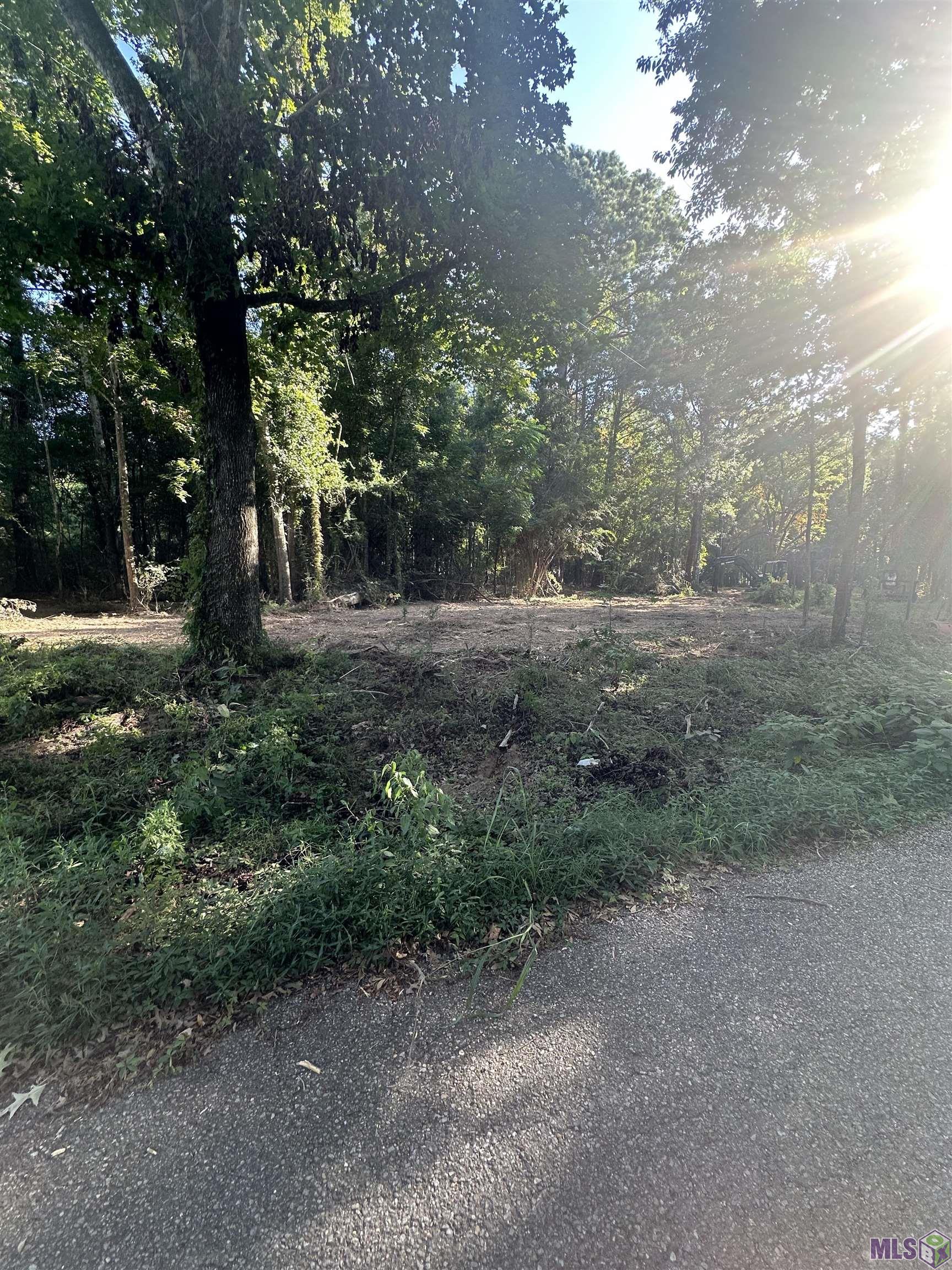 Lot A-2 Lot A-2 Scott Barr Road Slaughter, LA 70777 - Photo 24 of 25 Gallery Image 24