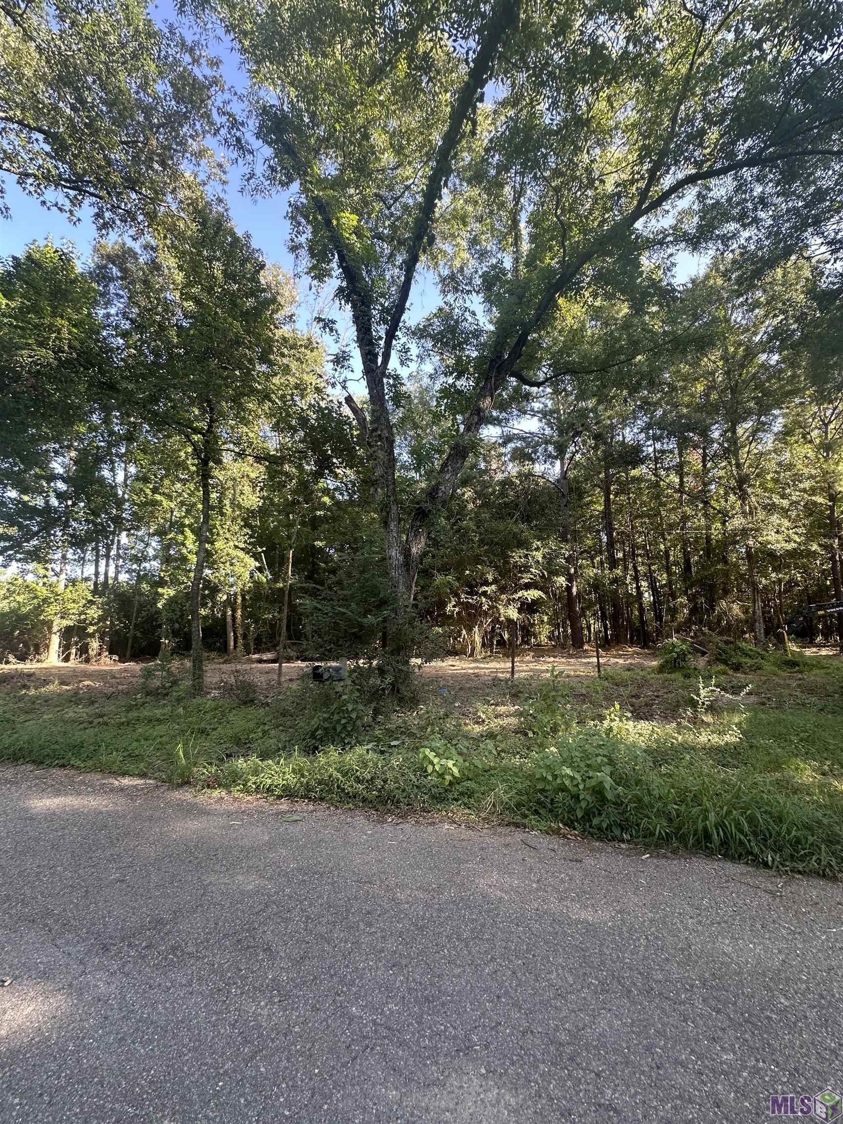 Lot A-2 Lot A-2 Scott Barr Road Slaughter, LA 70777 - Photo 3 of 25 Gallery Image 3