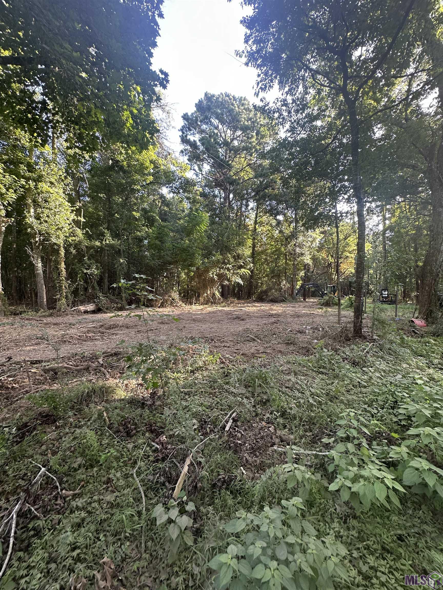 Lot A-2 Lot A-2 Scott Barr Road Slaughter, LA 70777 - Photo 4 of 25 Gallery Image 4