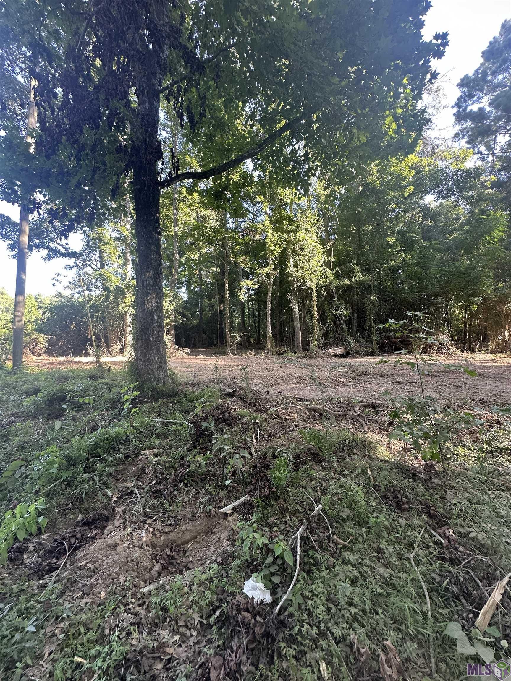 Lot A-2 Lot A-2 Scott Barr Road Slaughter, LA 70777 - Photo 5 of 25 Gallery Image 5
