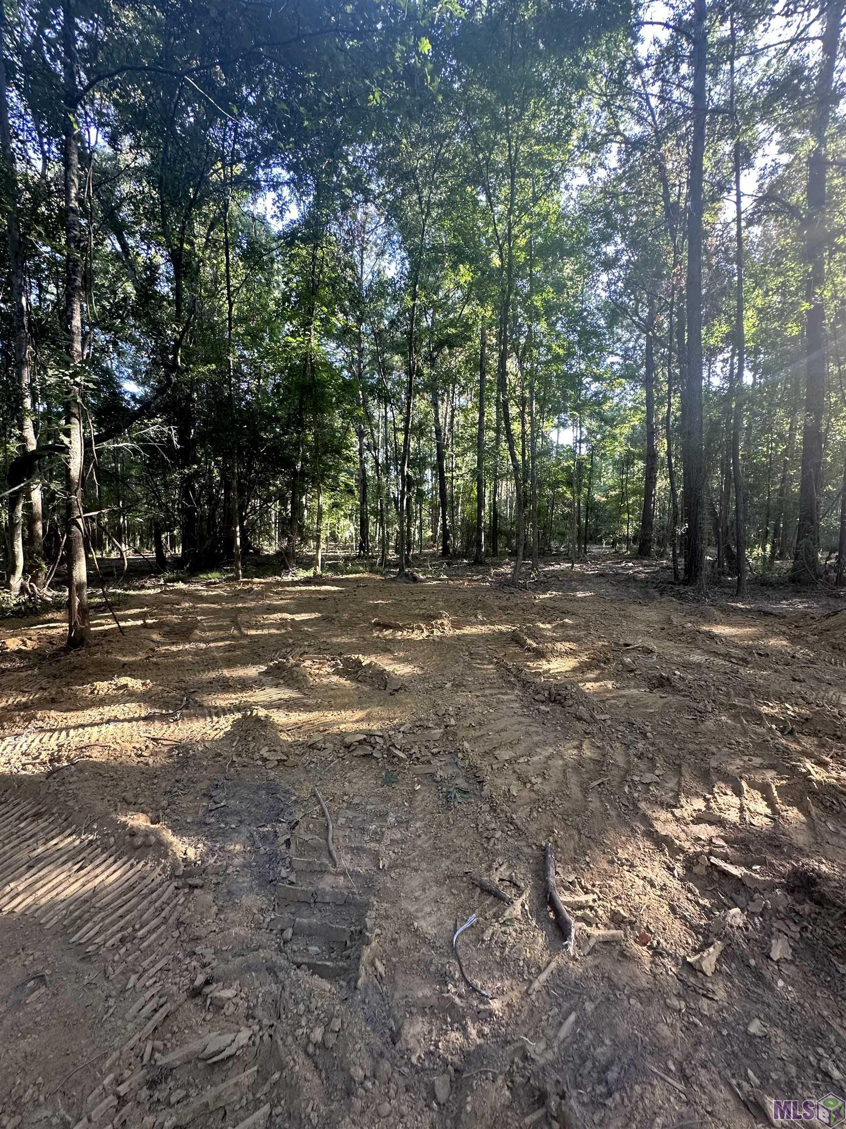 Lot A-2 Lot A-2 Scott Barr Road Slaughter, LA 70777 - Photo 7 of 25 Gallery Image 7