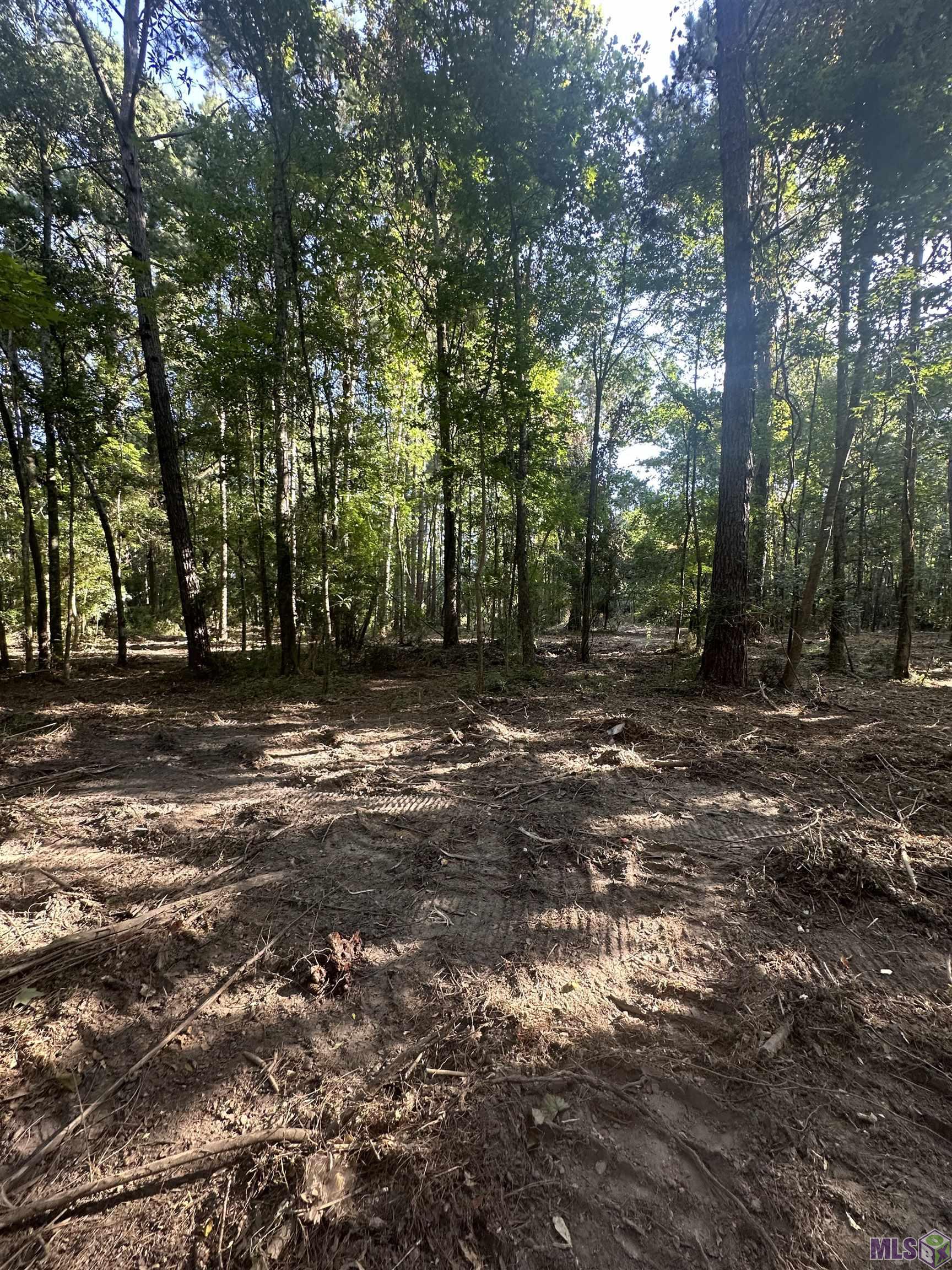 Lot A-2 Lot A-2 Scott Barr Road Slaughter, LA 70777 - Photo 8 of 25 Gallery Image 8