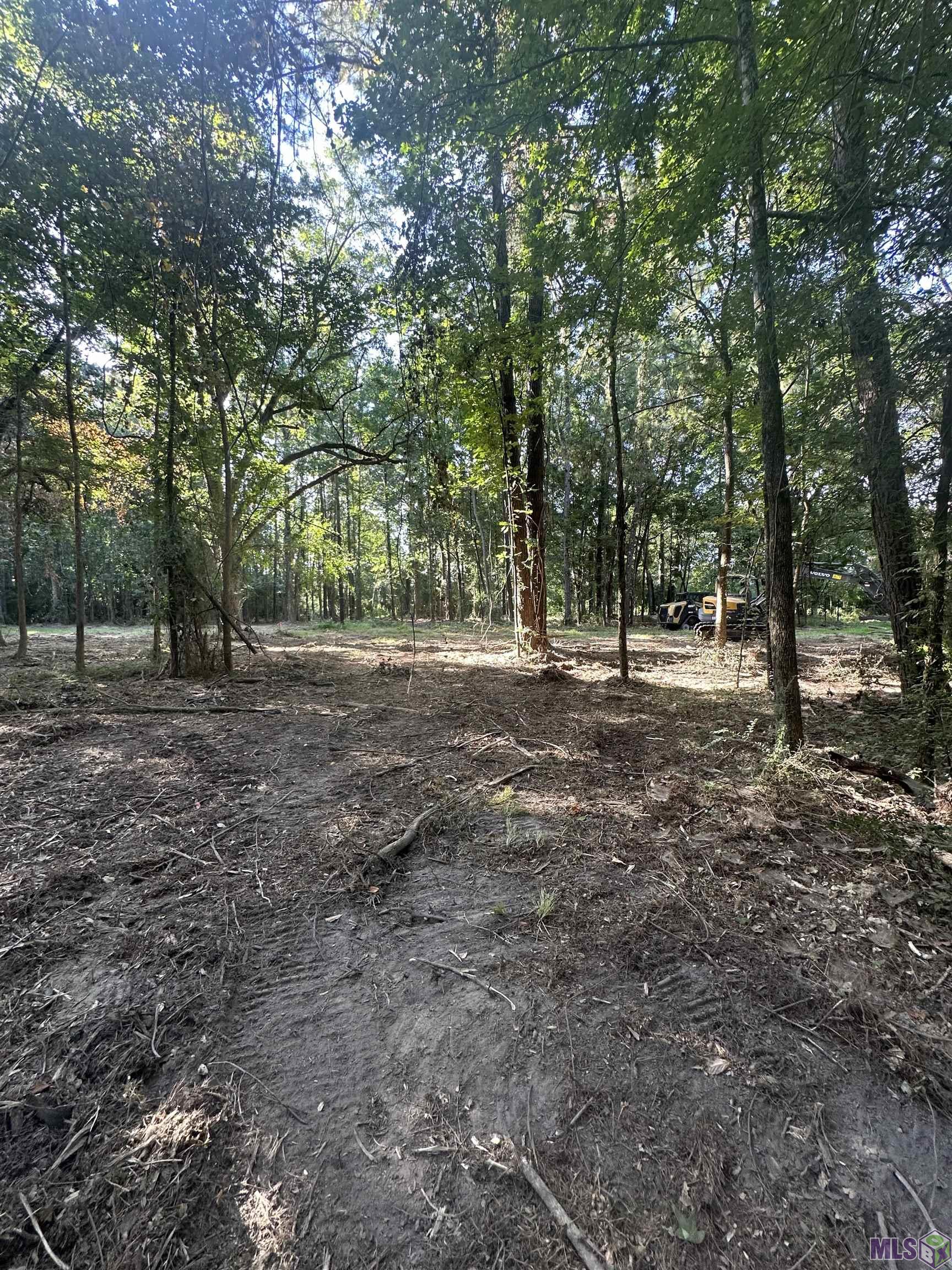 Lot A-2 Lot A-2 Scott Barr Road Slaughter, LA 70777 - Photo 9 of 25 Gallery Image 9