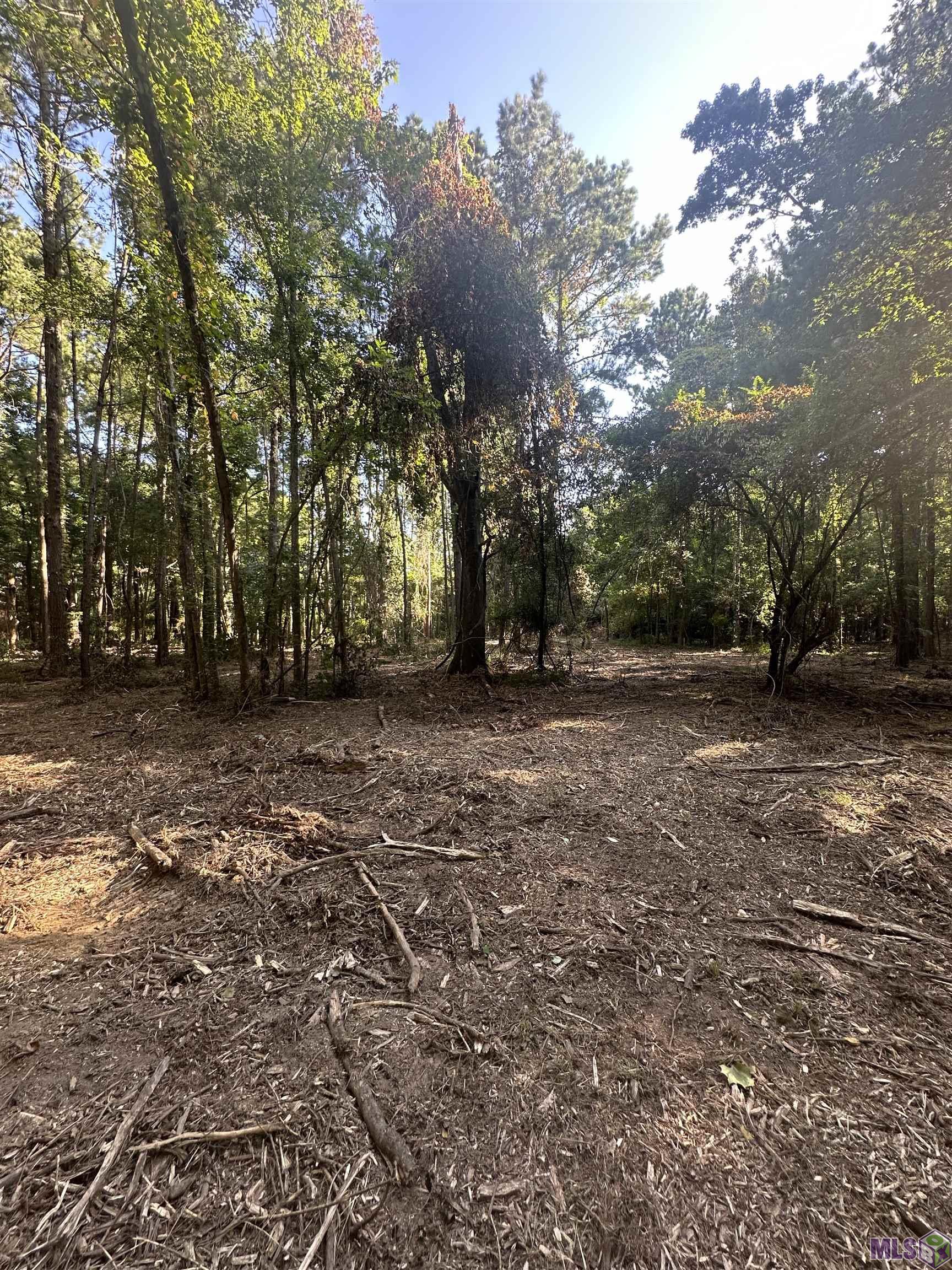 Lot A-2 Lot A-2 Scott Barr Road Slaughter, LA 70777 - Photo 10 of 25 Gallery Image 10