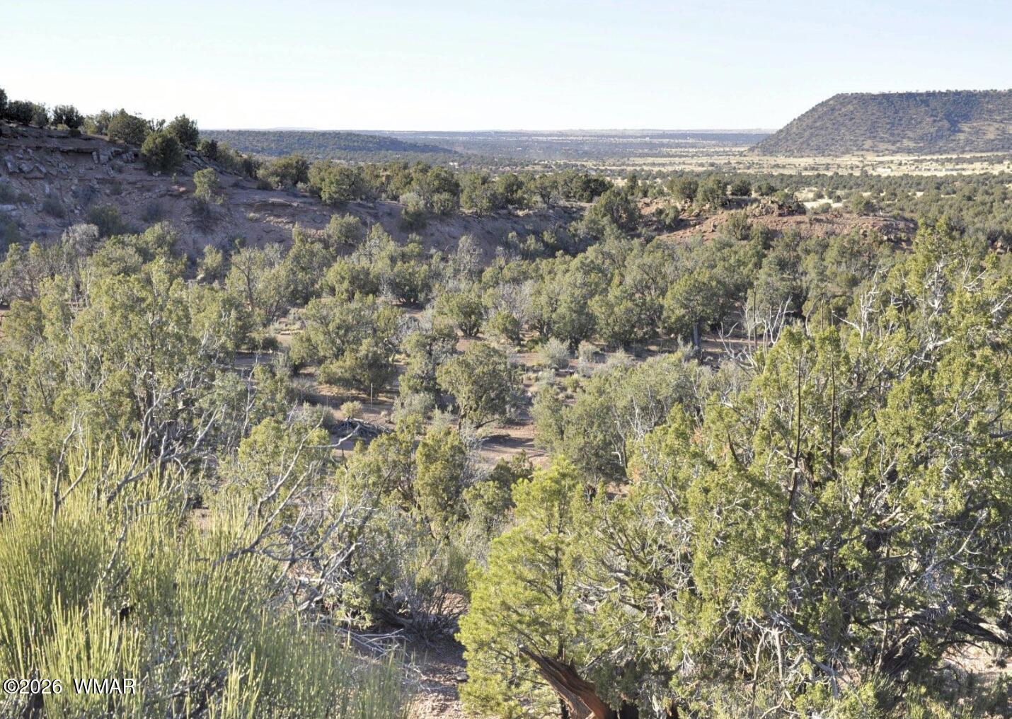3687 Damron Valley Road Snowflake, AZ 85937 - Photo 1 of 8 Land