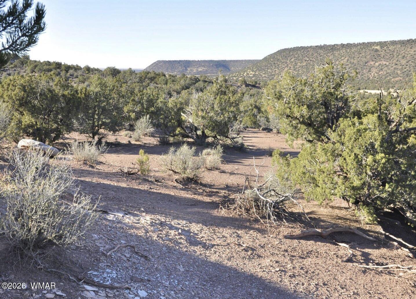 3687 Damron Valley Road Snowflake, AZ 85937 - Photo 2 of 8 1