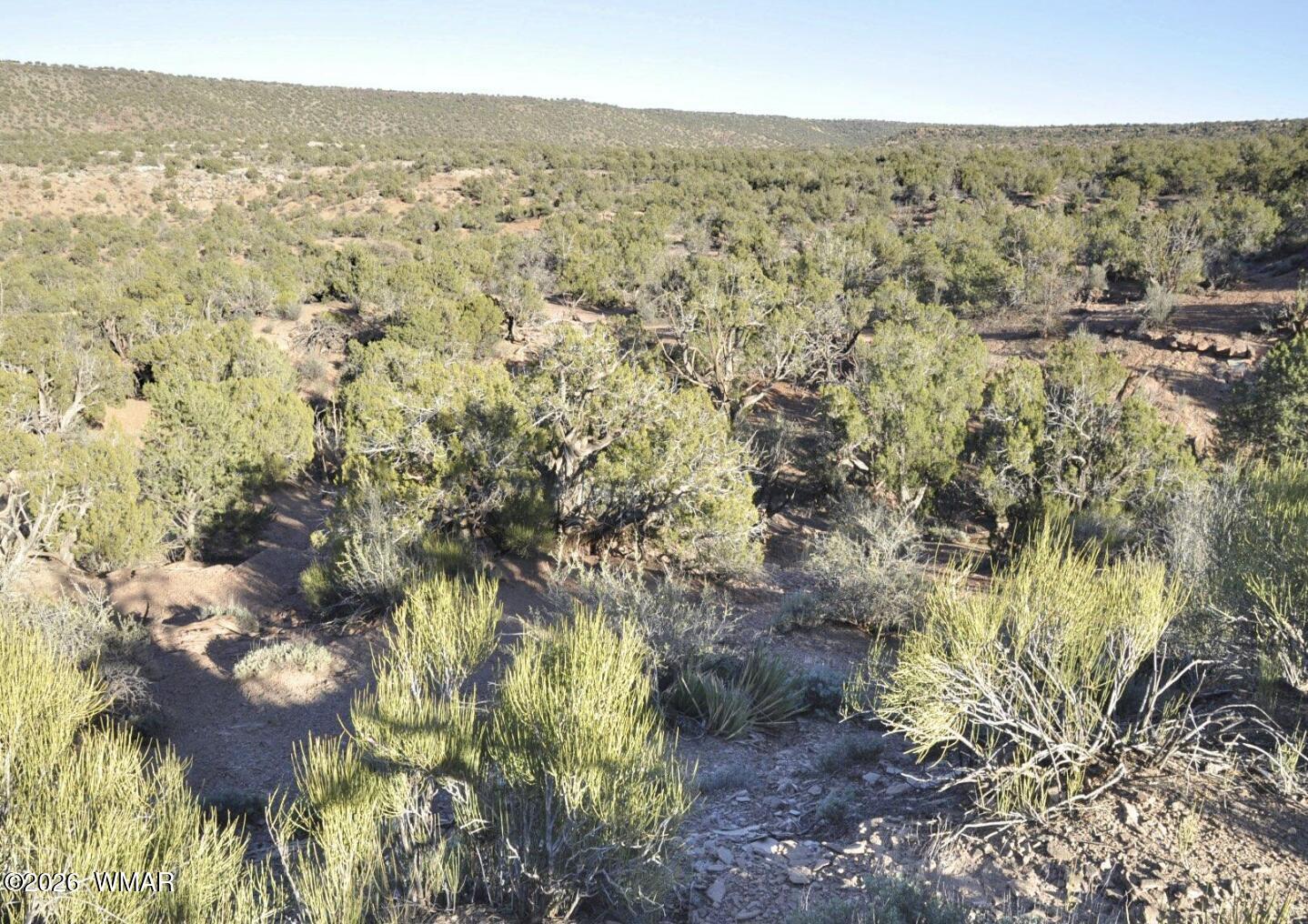 3687 Damron Valley Road Snowflake, AZ 85937 - Photo 3 of 8 2