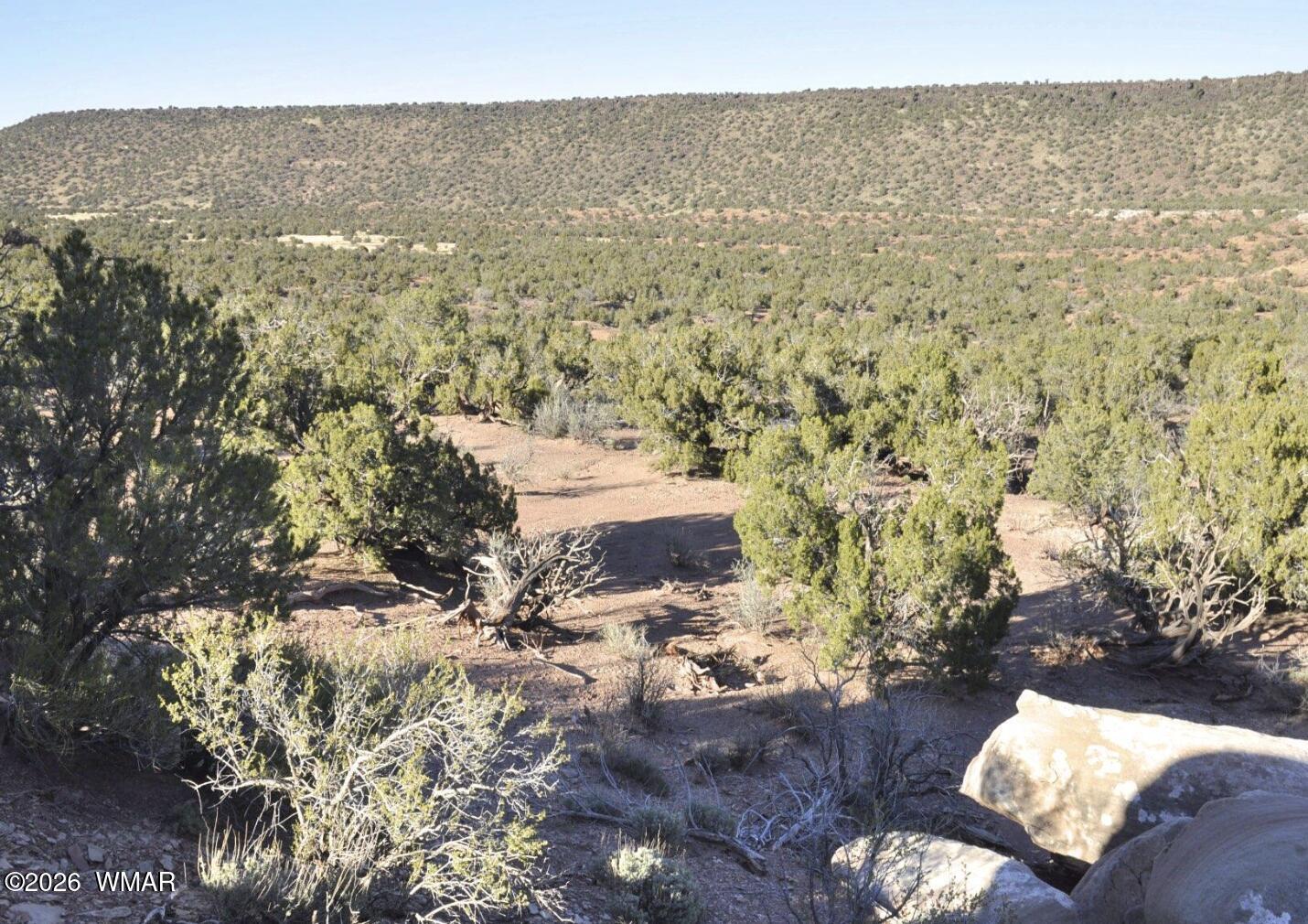 3687 Damron Valley Road Snowflake, AZ 85937 - Photo 6 of 8 6