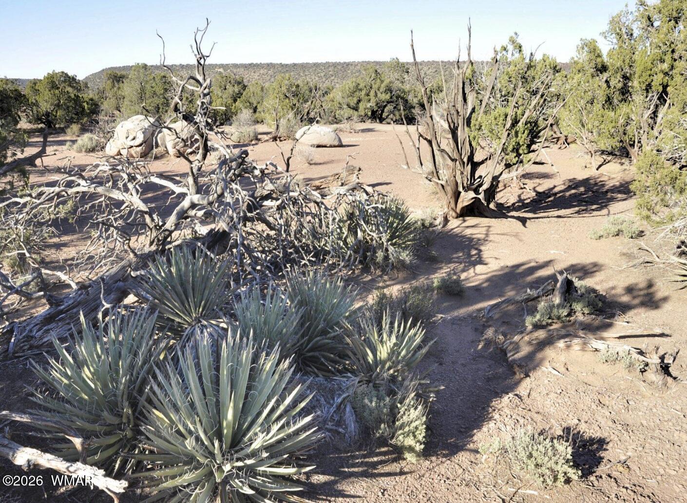 3687 Damron Valley Road Snowflake, AZ 85937 - Photo 7 of 8 7