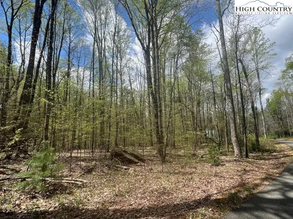 $35,000 | Lot 45 Sonterra Drive, Lansing, NC 28643