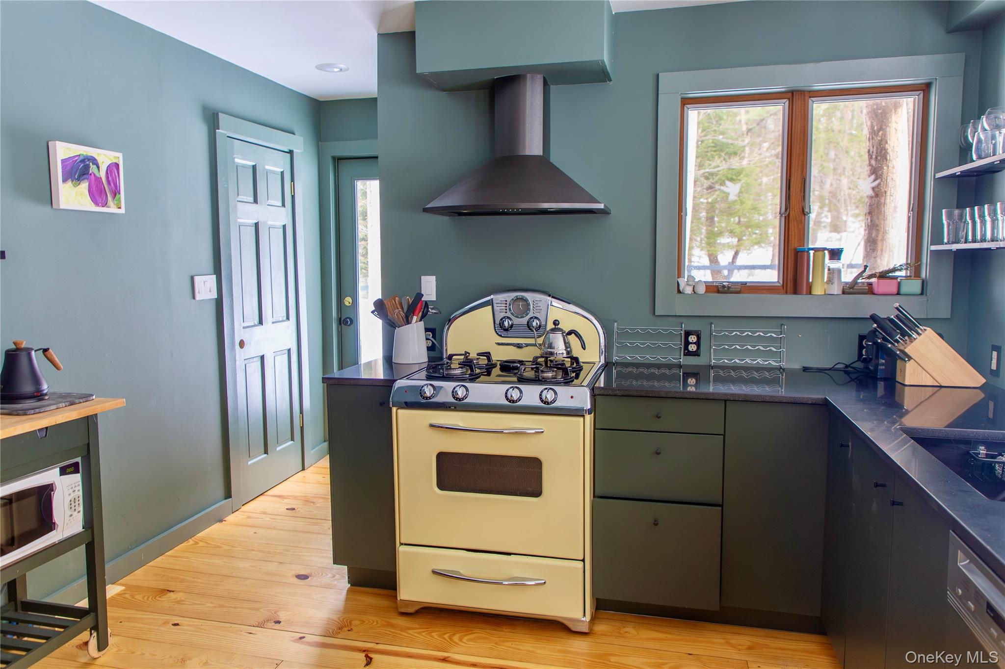 37 Williams Road Red Hook, NY 12571 - Photo 4 of 43