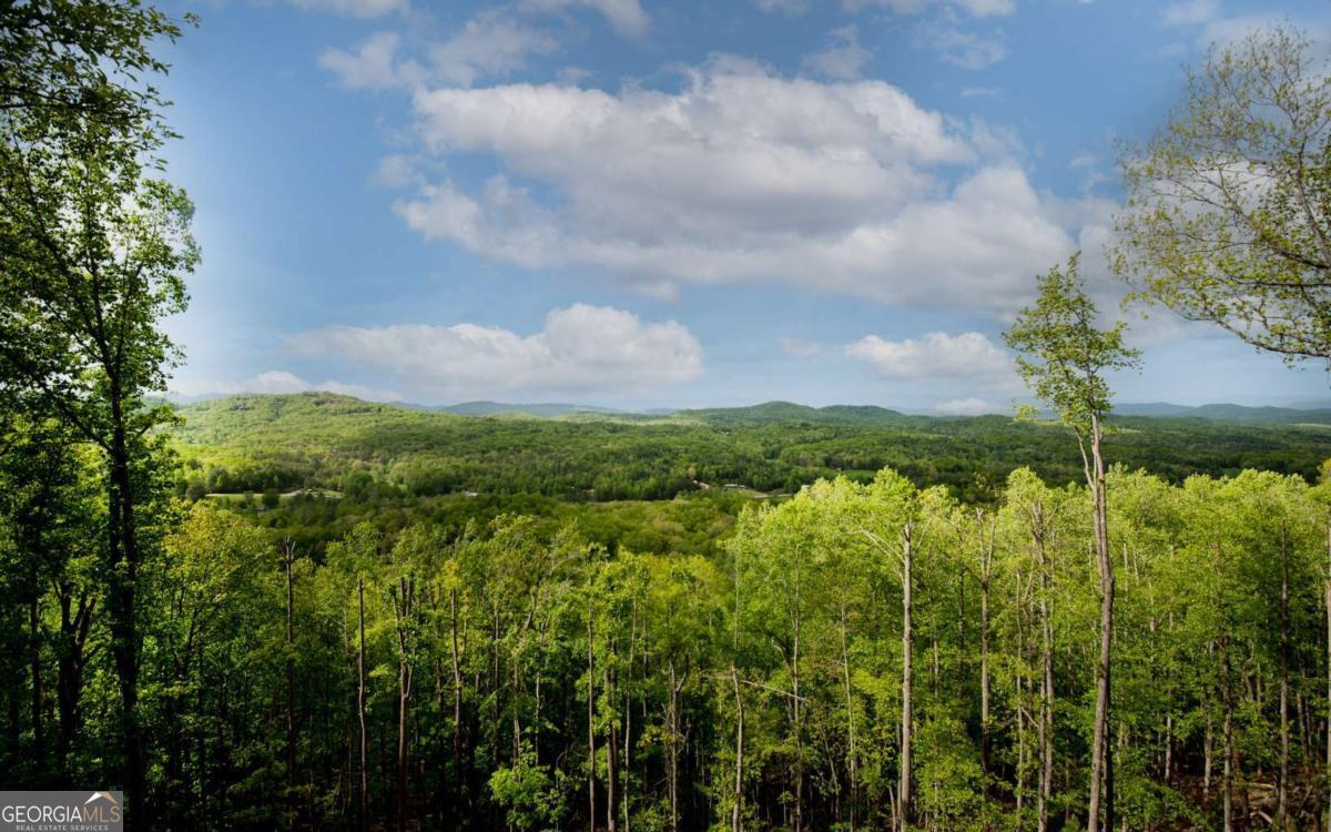 Lot 7 Scouts Overlook Morganton, GA 30560 - Photo 3 of 8 a view of a garden