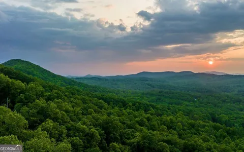 a view of a bunch of trees in a field