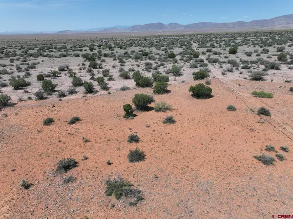 a view of a dry yard
