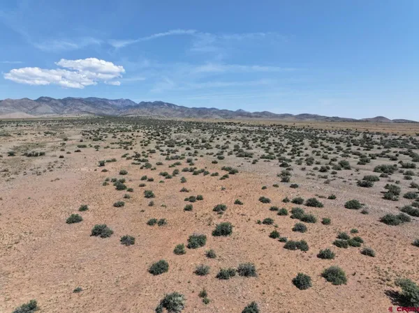 a view of a dry yard with and trees