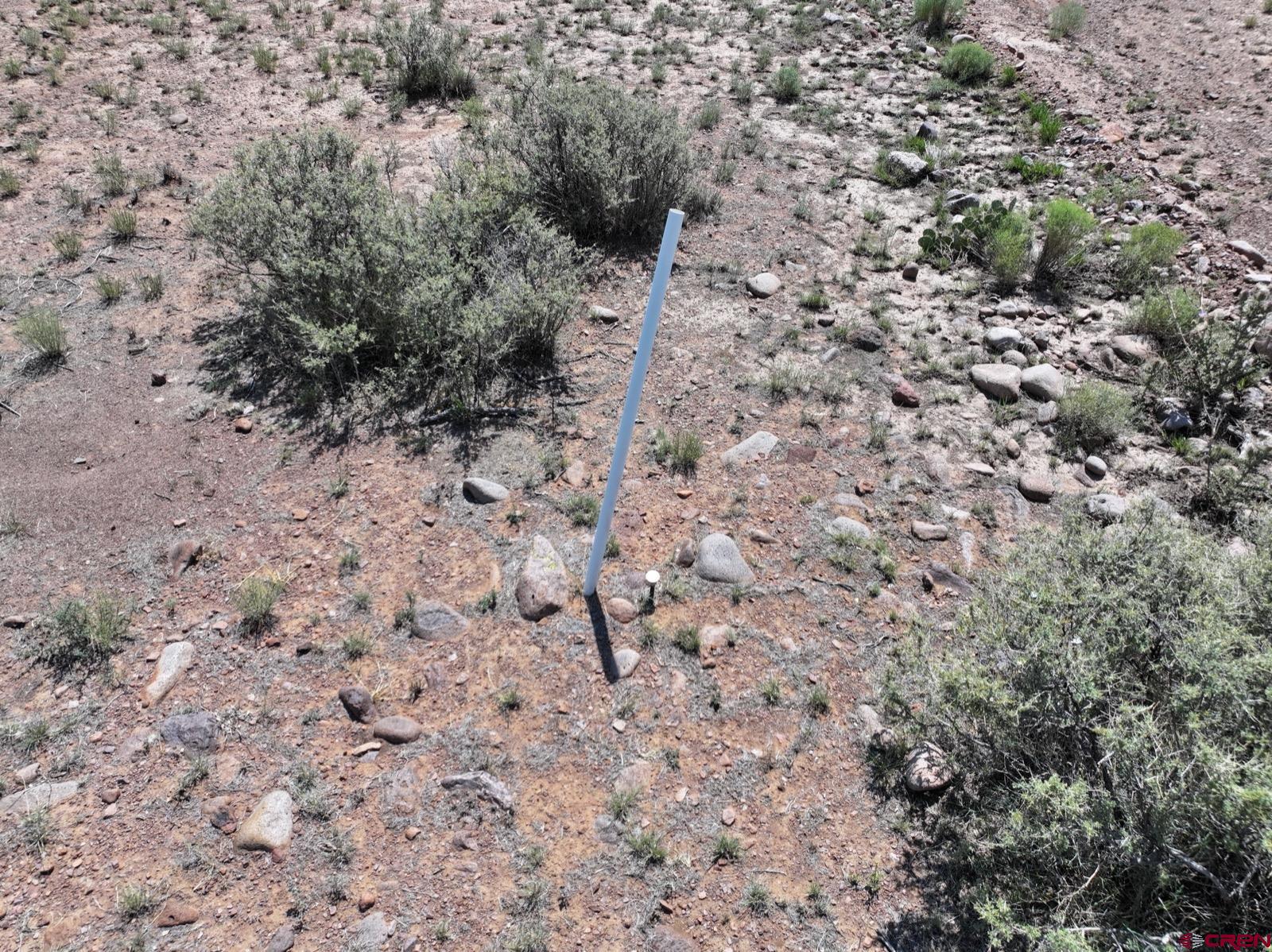 0 Cienega Camp Road Magdalena, NM 87825 - Photo 8 of 16 a view of a dry yard with and trees
