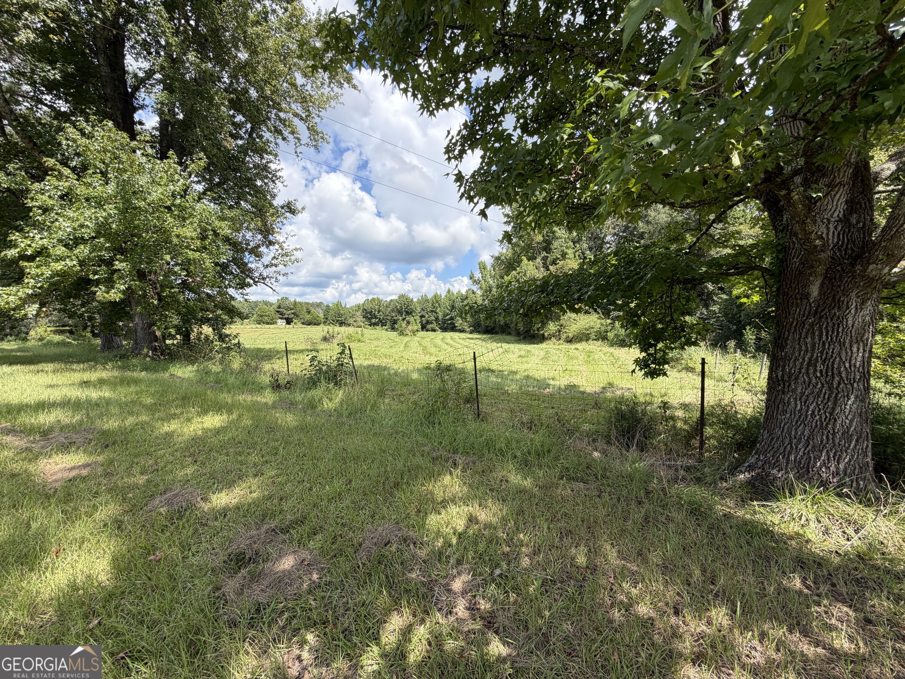7.65-acres Baker Road Shiloh, GA 31826 - Photo 8 of 24 Gallery Image 8