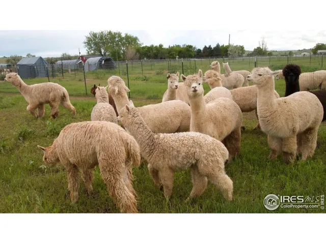 $1,300,000 | 1203 South 112th Street, Lafayette, CO 80026