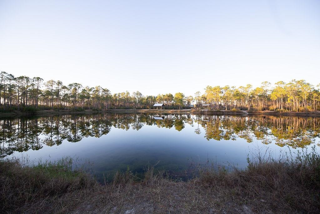 4204 Lauder Lane Orange Beach, AL 36561 - Photo 39 of 47