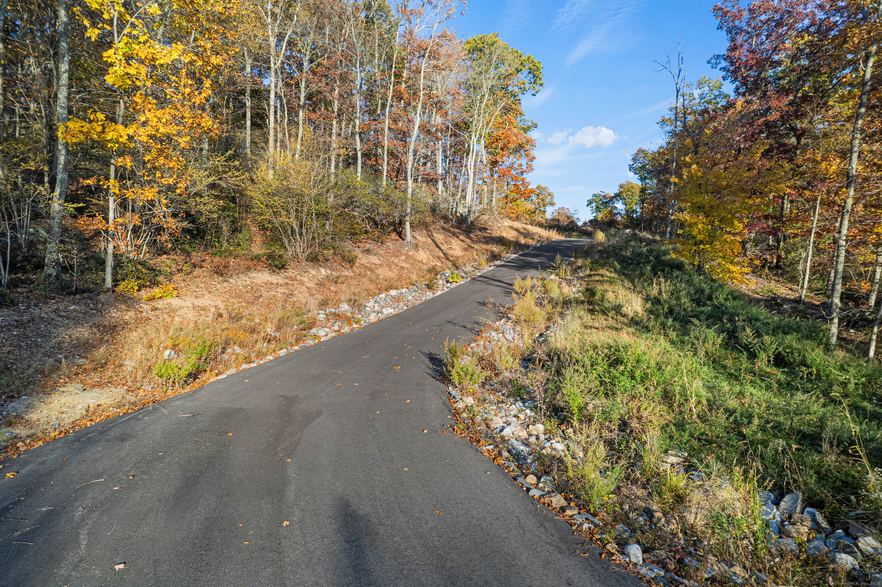 29 Rocco Drive East Lyme, CT 06333 - Photo 11 of 12 a view of a yard with trees