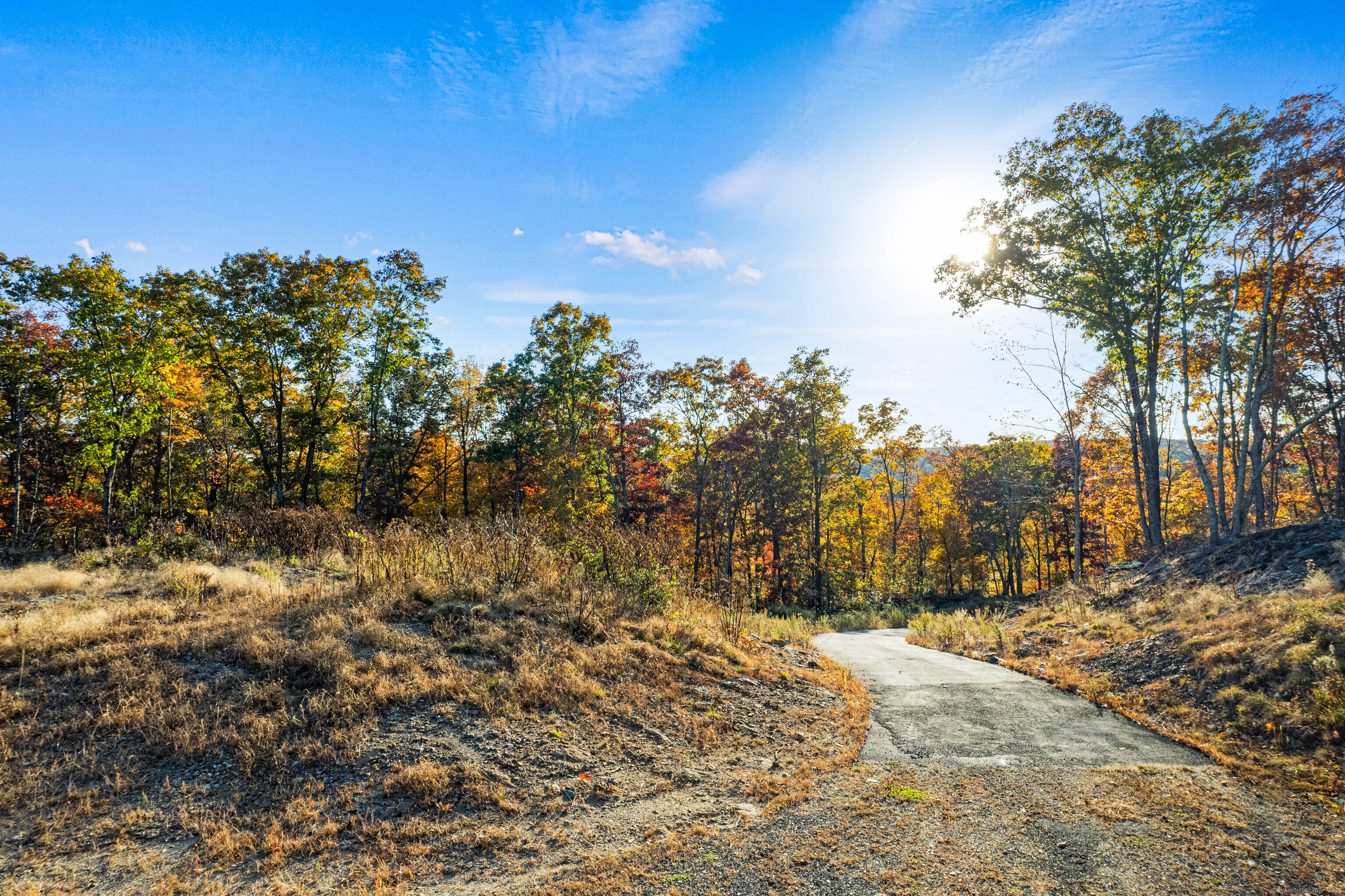 29 Rocco Drive East Lyme, CT 06333 - Photo 5 of 12 a view of a yard with a tree