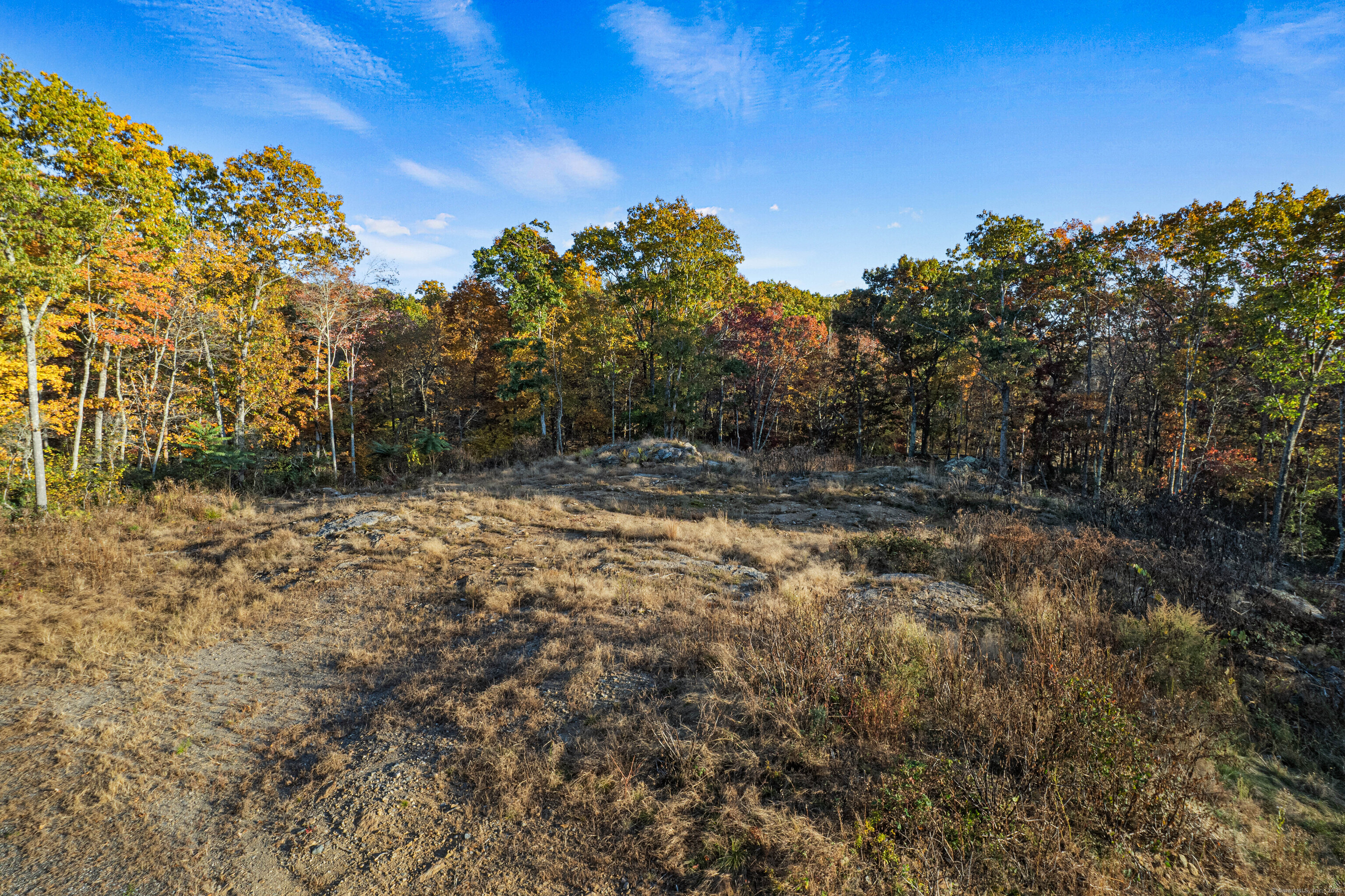 29 Rocco Drive East Lyme, CT 06333 - Photo 7 of 12 a view of a yard with trees in front of it