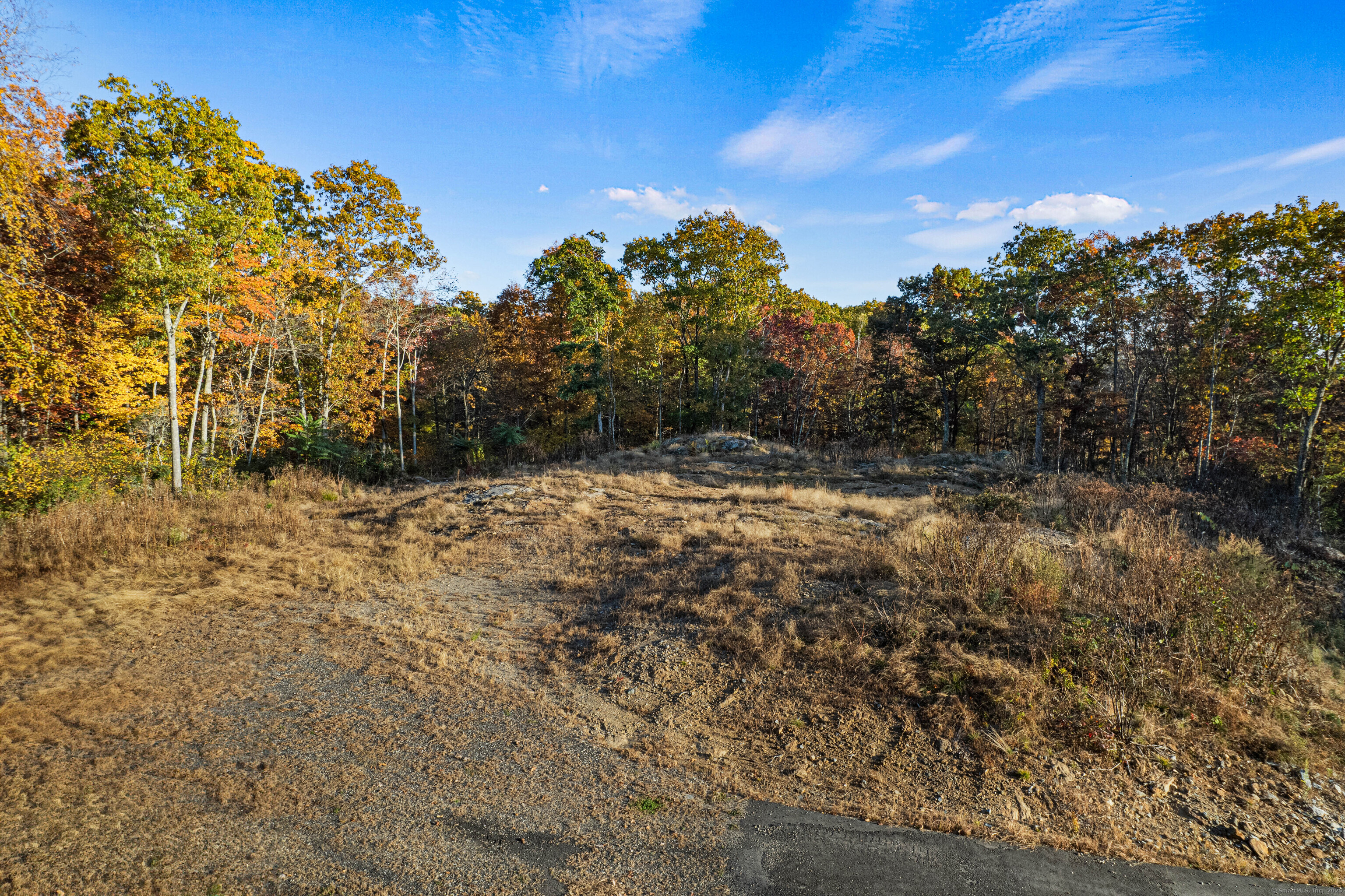 29 Rocco Drive East Lyme, CT 06333 - Photo 8 of 12 a view of a yard with a tree
