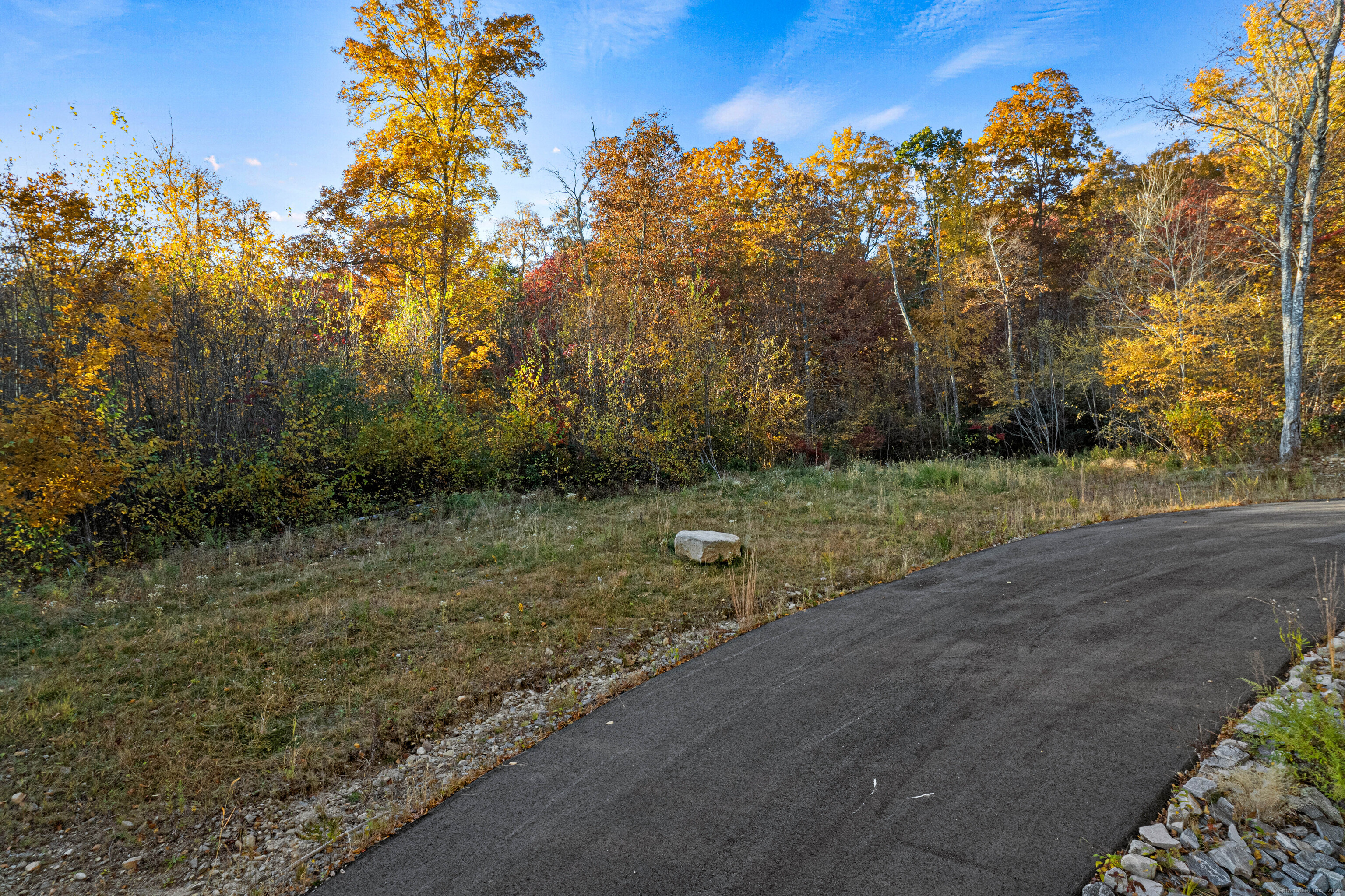 29 Rocco Drive East Lyme, CT 06333 - Photo 10 of 12 a view of a yard with a tree