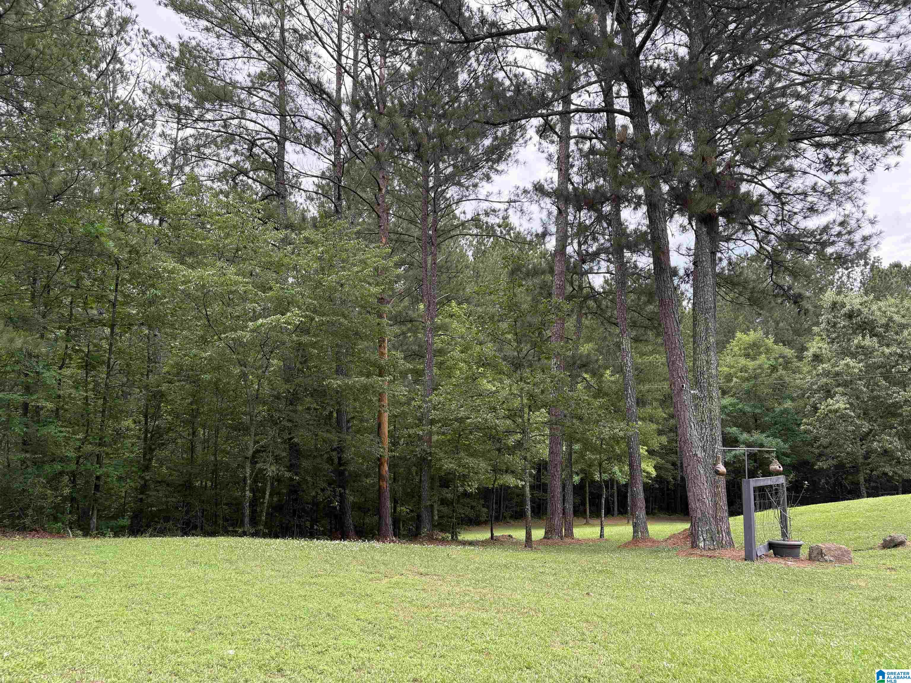 1322 Mitchellville Road Ohatchee, AL 36271 - Photo 42 of 51