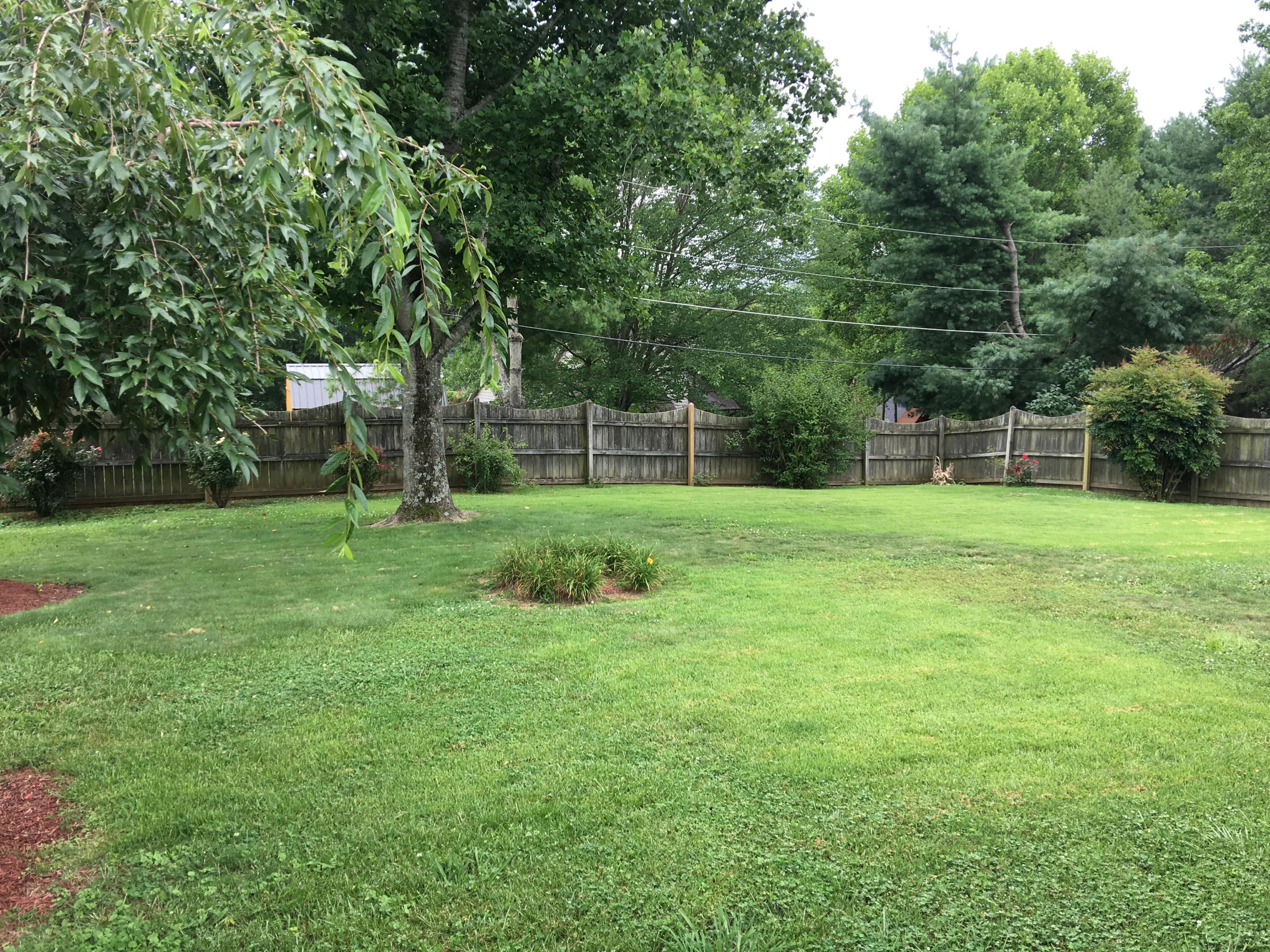 7744 Norwich Road Powell, TN 37849 - Photo 19 of 20 IMG_3250
