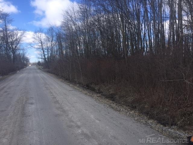 0 Marquette Road Goodells, MI 48027 - Photo 2 of 5