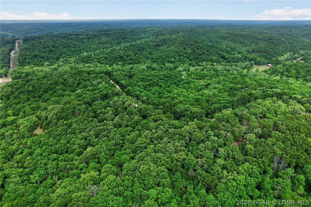 Tbd Twisted Tree Road Barnett, MO 65011 - Photo 41 of 45 Ready to homestead
