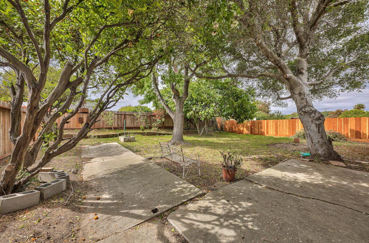 75 Mayfair Drive Salinas, CA 93905 - Photo 17 of 20 a view of a yard with plants and a large tree