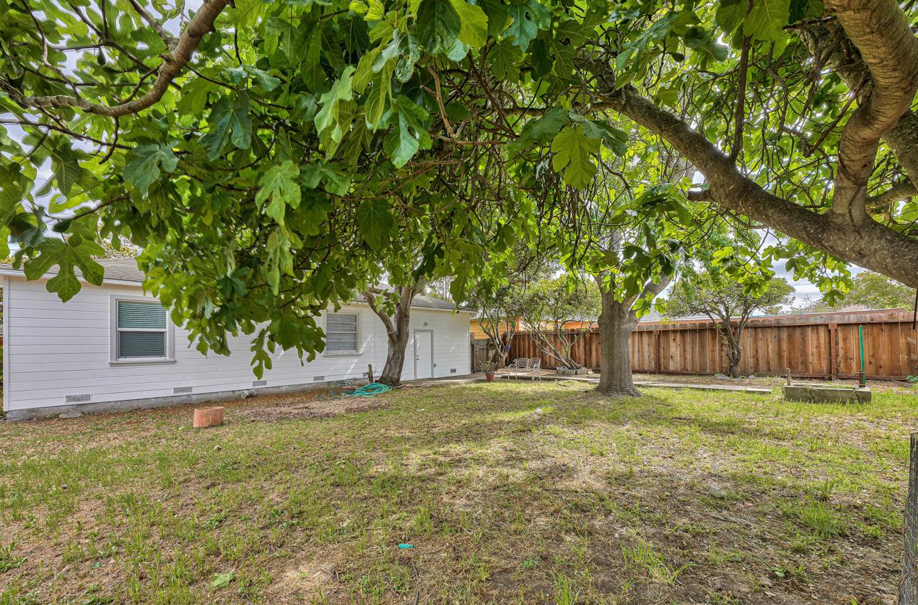 75 Mayfair Drive Salinas, CA 93905 - Photo 19 of 20 a view of a yard with a tree