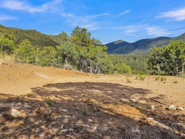 Lot 85 Pinabete Road Questa, NM 87556 - Photo 8 of 26