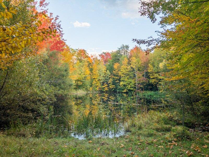 17 Fox Run Road Falmouth, ME 04105 - Photo 71 of 83 Pond