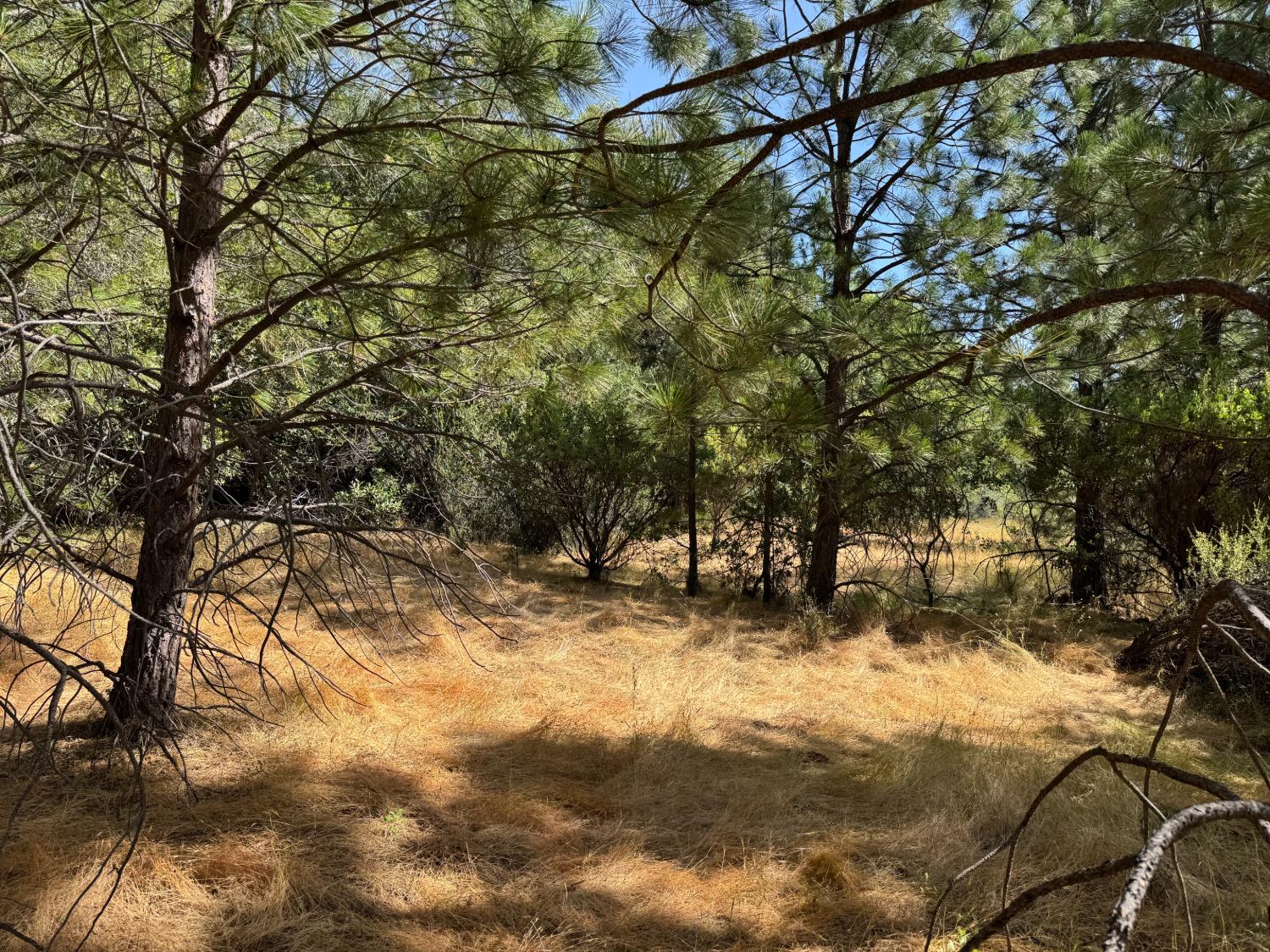 0 French Gulch Road Murphys, CA 95247 - Photo 17 of 19