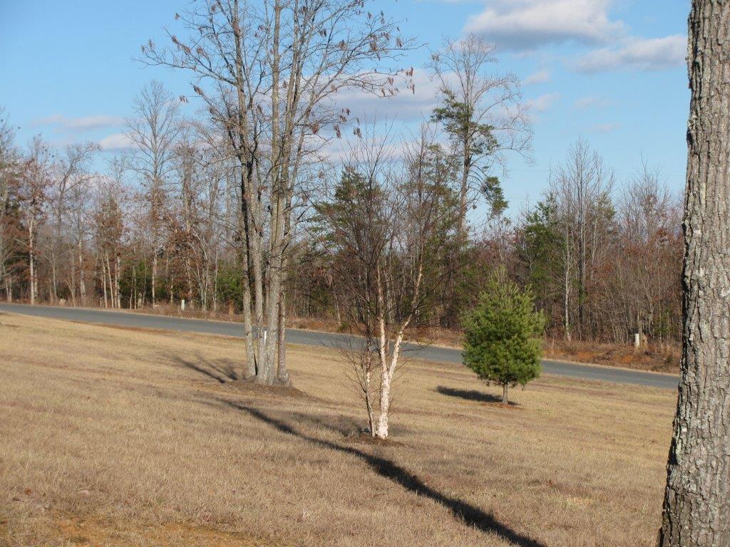 1875 Homestead Road Gretna, VA 24557 - Photo 14 of 38 15