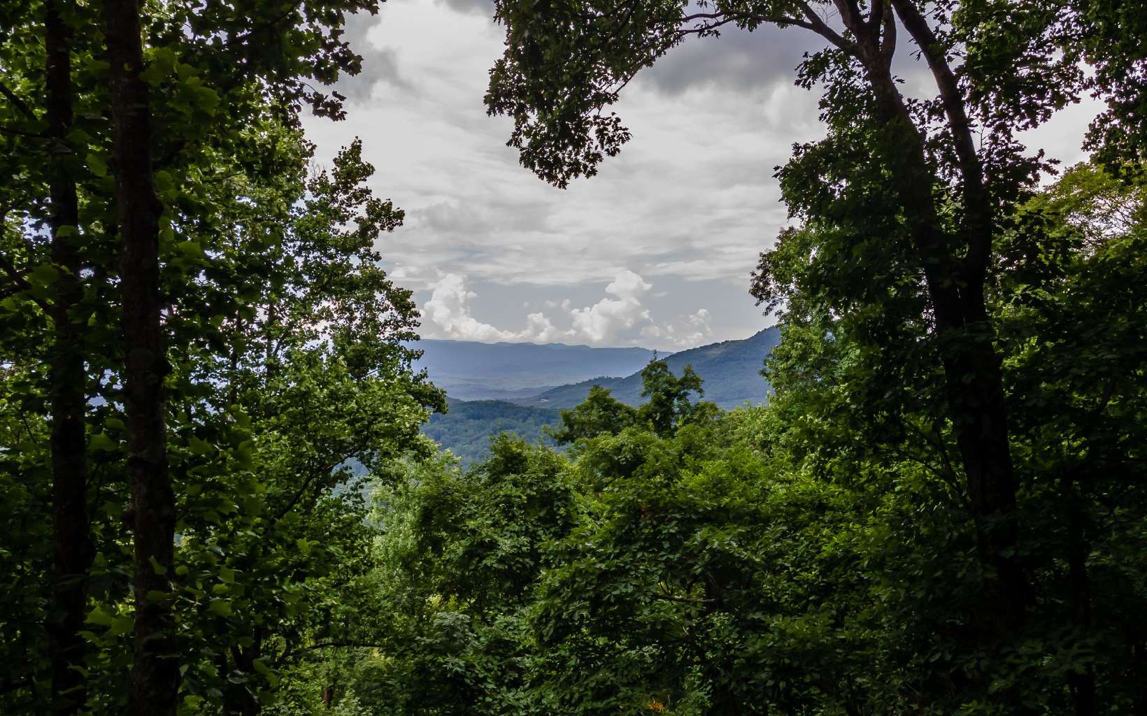 1383 Walnut Ridge Ellijay, GA 30536 - Photo 5 of 44 Additional View