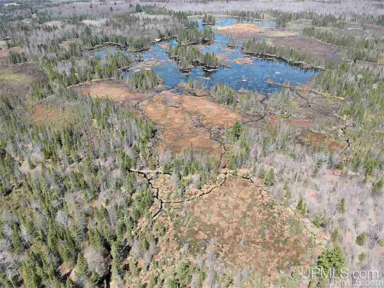 Tbd Mud Lake Road Lake Linden, MI 49945 - Photo 14 of 18