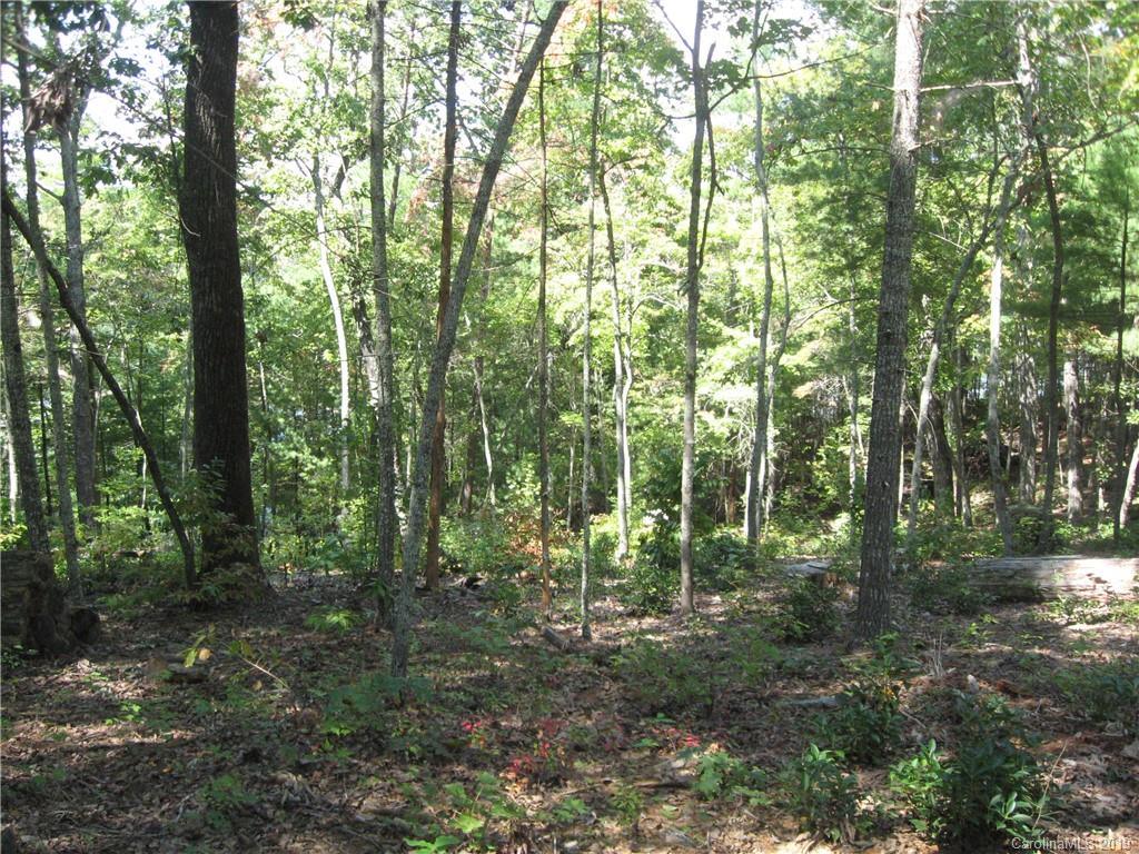 3744 Powerhouse Road, Unit 5 Nebo, NC 28761 - Photo 5 of 7 Gallery Image 5