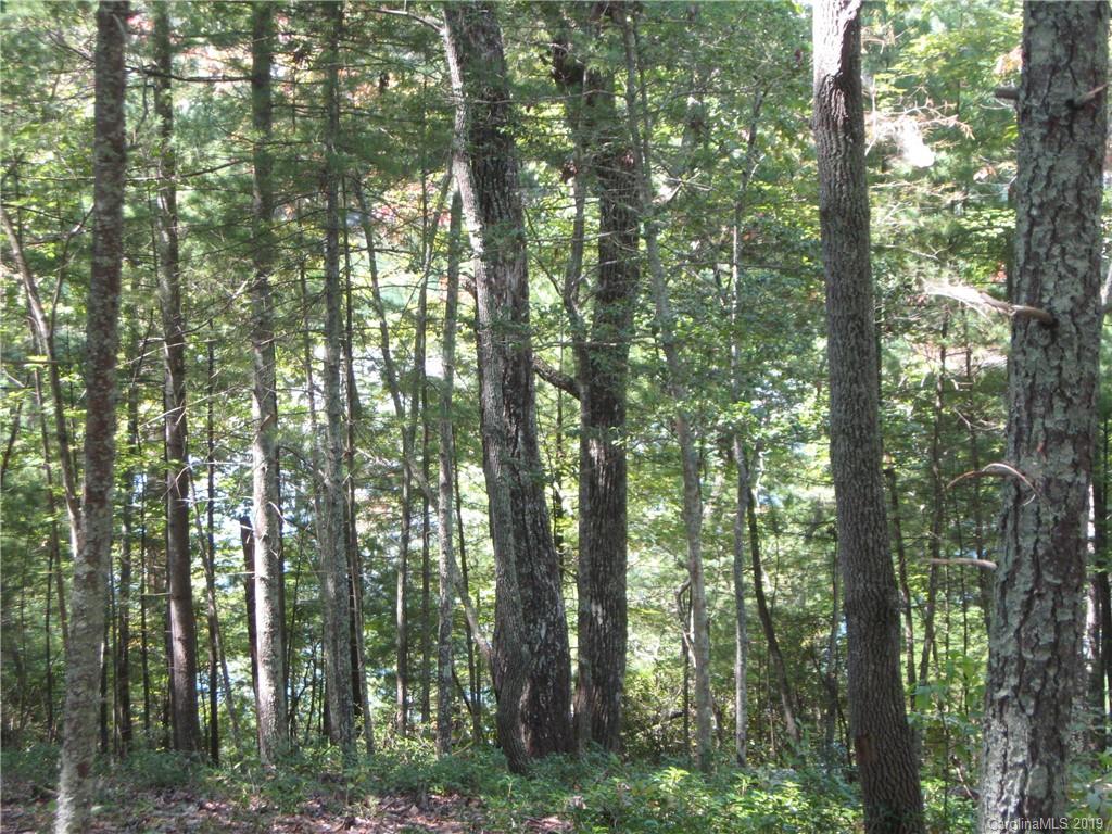 3744 Powerhouse Road, Unit 5 Nebo, NC 28761 - Photo 7 of 7 Gallery Image 7