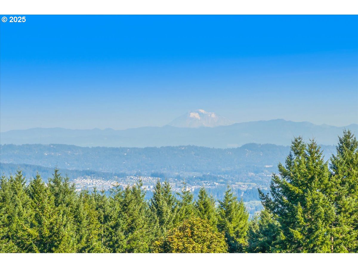 18925 Northeast Jaquith Road Newberg, OR 97132 - Photo 11 of 27 a view of a field