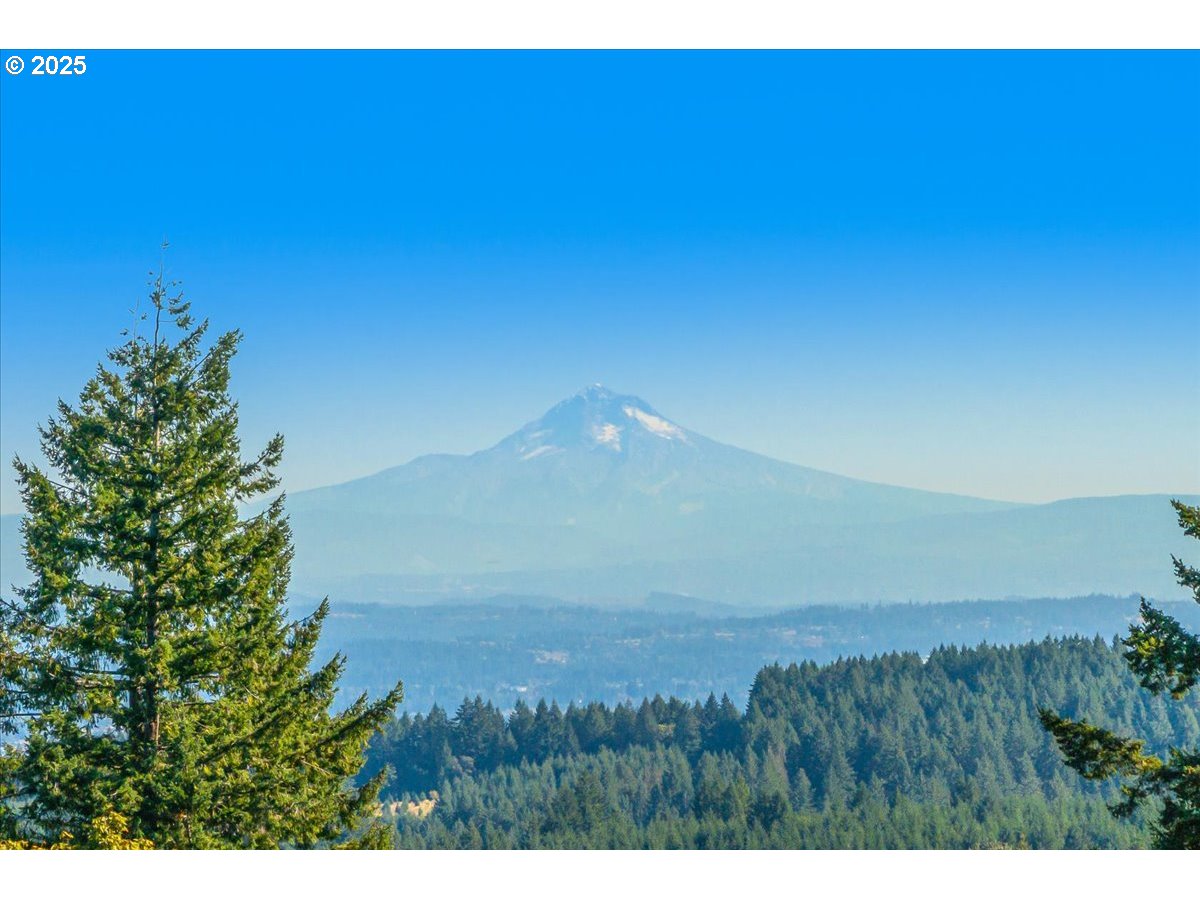 18925 Northeast Jaquith Road Newberg, OR 97132 - Photo 12 of 27 a view of a field with a tree and a plant