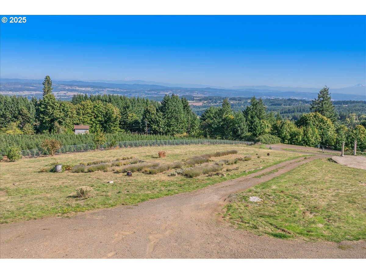 18925 Northeast Jaquith Road Newberg, OR 97132 - Photo 4 of 27 a view of a yard with a street
