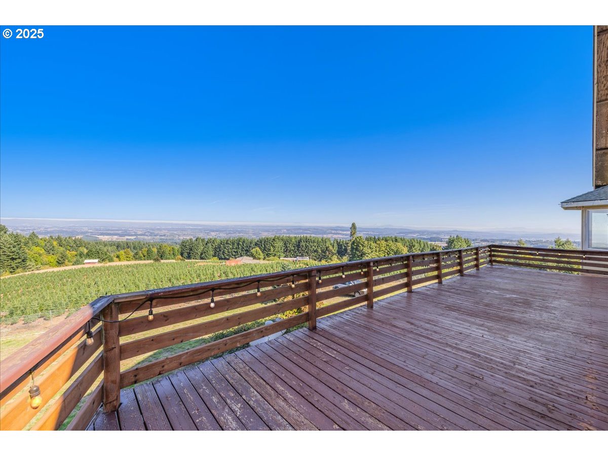 18925 Northeast Jaquith Road Newberg, OR 97132 - Photo 10 of 27 a view of outdoor space with lounge chair