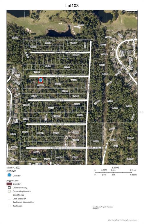 Chase Mount Dora, FL 32757 - Photo 1 of 1