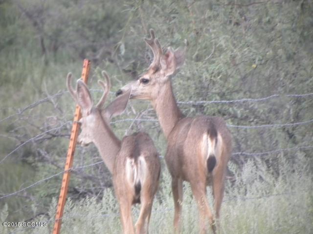 860 Via Mandan Rio Rico, AZ 85648 - Photo 44 of 44